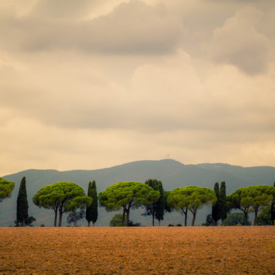 Maremma – Ferien beim Winzer